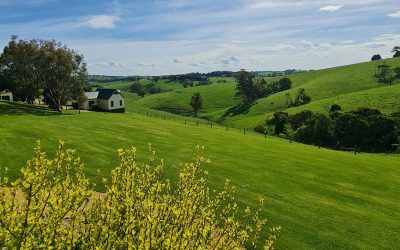Best Time to Visit South Gippsland
